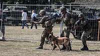 Drei Soldaten laufen mit Gewehren im Anschlag an einem Zaun entlang, ein Hund begleitet sie.