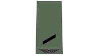 Picture of Rank Insignia Airman (OR-2) for field dress