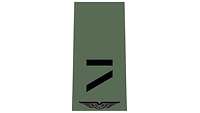 Picture of Rank Insignia Airman (OR-2), NCO candidate, for field dress