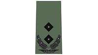 Picture of Rank Insignia Lieutenant colonel (OF-4) for field dress