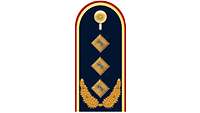 Picture of Rank Insignia Lieutenant general (OF-8) for service dress