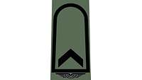Picture of Rank Insignia Technical sergeant (OR-6) for field dress