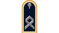 Picture of Rank Insignia Master sergeant (OR-7) for service dress