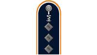 Picture of Rank Insignia Captain, Pharmacy Corps, Air Force (OF-2), for service dress