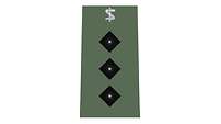 Picture of Rank Insignia Captain, Medical Corps, Army (OF-2), for field dress