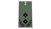 Picture of Rank Insignia Lieutenant Colonel, Pharmacy Corps, Army (OF-4), for field dress