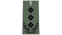 Pciture of Rank Insignia Colonel, Medical Corps, Air Force (OF-5), for field dress