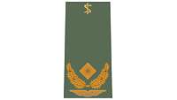 Picture of Rank Insignia Surgeon General, Air Force (OF-6), for field dress