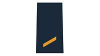 Picture of Rank Insignia Seaman apprentice (OR-2) for shipboard and battle dress