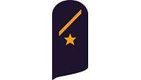 Picture of Rank Insignia Seaman apprentice (OR-2), officer candidate, for service dress