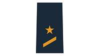 Picture of Rank Insignia Seaman apprentice (OR-2), officer candidate, for shipboard and battle dress