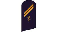 Picture of Rank Insignia Seaman (OR-3) for service dress
