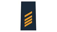 Picture of Rank Insignia Petty officer third class (OR-4) for shipboard and battle dress