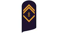 Picture of Rank Insignia Petty officer second class, senior grade (OR-5), for service dress
