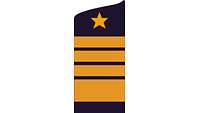 Picture of Rank Insignia Admiral (OF-9) for service dress
