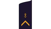 Picture of Rank Insignia Petty officer first class (OR-6) for service dress