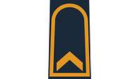 Picture of Rank Insignia Petty officer first class (OR-6) for shipboard and battle dress