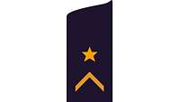 Picture of Rank Insignia Petty officer first class (OR-6), officer candidate, for service dress
