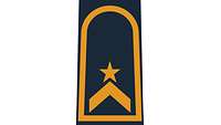 Picture of Rank Insignia Petty officer first class (OR-6), officer candidate, for shipboard and battle dress