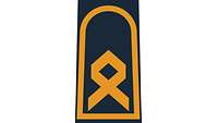 Picture of Rank Insignia Chief petty officer (OR-7) for shipboard and battle dress