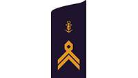 Picture of Rank Insignia Senior chief petty officer (OR-8) for service dress