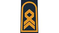 Picture of Rank Insignia Senior chief petty officer (OR-8) for shipboard and battle dress