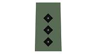 Picture of Rank Insignia Captain (OF-2) for field dress