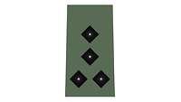 Picture of Rank Insignia Captain, senior grade (OF-2), for field dress