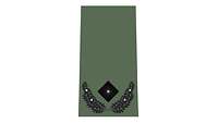 Picture of Rank Insignia Major (OF-3) for field dress