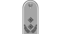 Picture of Rank Insignia Lieutenant colonel (OF-4) for service dress