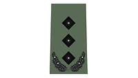 Picture of Rank Insignia Colonel (OF-5) for field dress