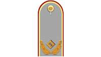 Picture of Rank Insignia Brigadier general (OF-6) for service dress
