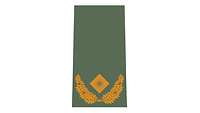 Picture of Rank Insignia Brigadier general (OF-6) for field dress