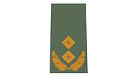 Picture of Rank Insignia Major general (OF-7) for field dress