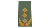 Picture of Rank Insignia Lieutenant general (OF-8) for field dress