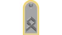 Picture of Rank Insignia Sergeant first class (OR-7) for service dress