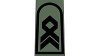 Picture of Rank Insignia Master sergeant (OR-8) or field dress