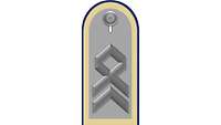 Picture of Rank Insignia Master sergeant (OR-8) for service dress