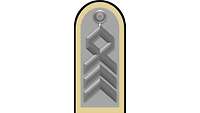Picture of Rank Insignia Sergeant major (OR-9) for service dress