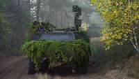 Ein Militärfahrzeug fährt mit Tannenzweigen getarnt und ausgefahrener Optik über einen Waldweg.
