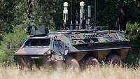 Ein Transportpanzer vor einem Waldstück