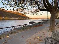 Rheinpromenade in Andernach