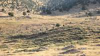 Vier Soldaten laufen nebeneinander über das Feld. Im Hintergrund erstreckt sich eine Bergkette