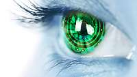 eye iris and electronic circuit