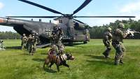 Hunde der Schule für Diensthundewesen mit Hundeführer und weiteren Soldaten bei einer Übung an einem Hubschrauber.