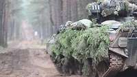 Schützenpanzer auf einem Waldweg