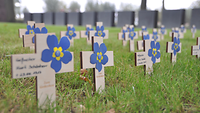 Die Kreuze auf dieser Kriegsgräberstätte sind alle mit einem Vergissmeinnicht geschmückt.