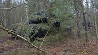 Ein gut getarnter Panzer steht in einem Mischwald mit schmalen Bäumen.