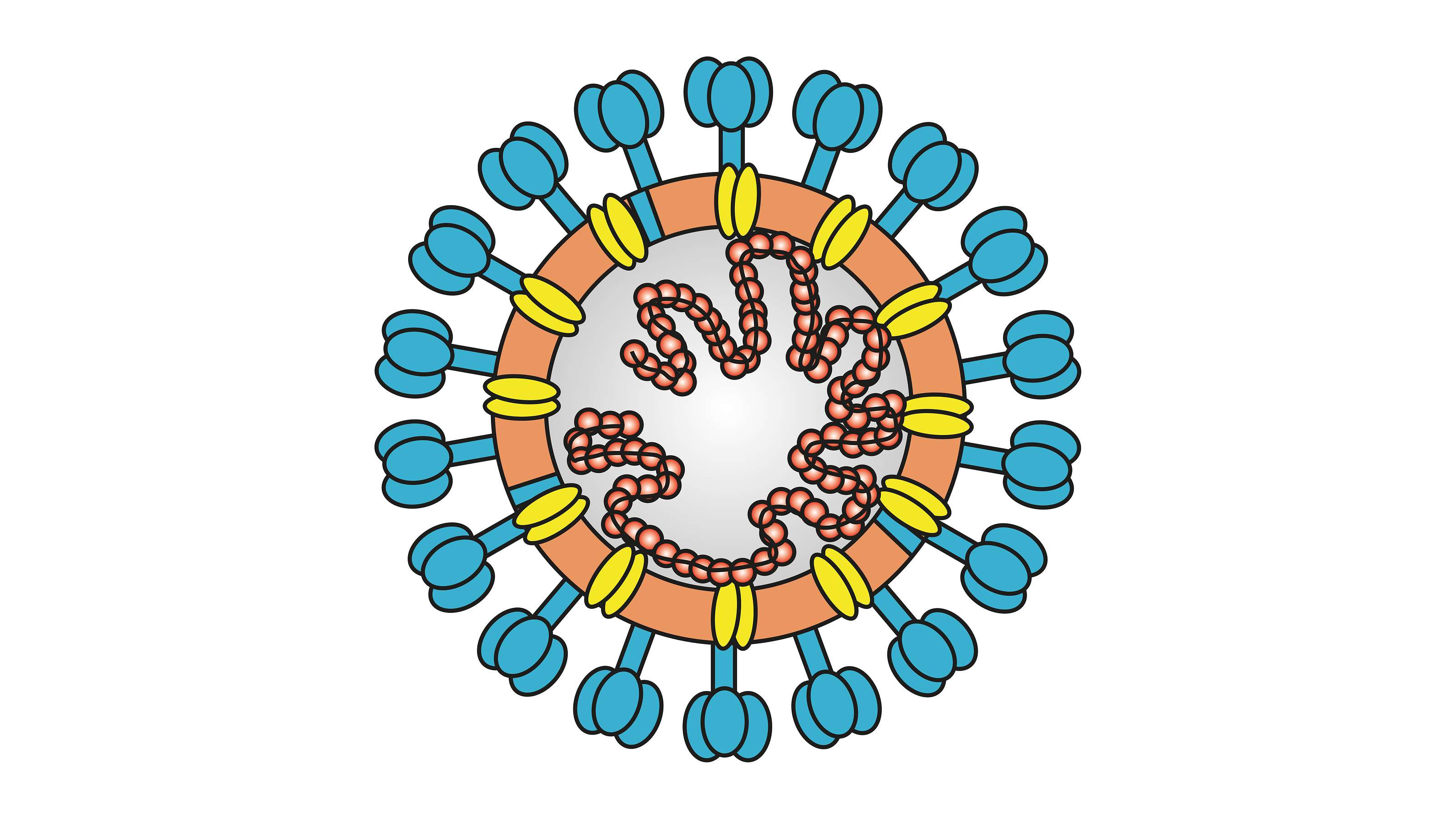 Coronavirus Auch Bei Erkältungssymptomen Ansteckend