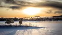Landschaftsaufnahme: verschneites weites Schweden in düster wirkendem Sonnenlicht